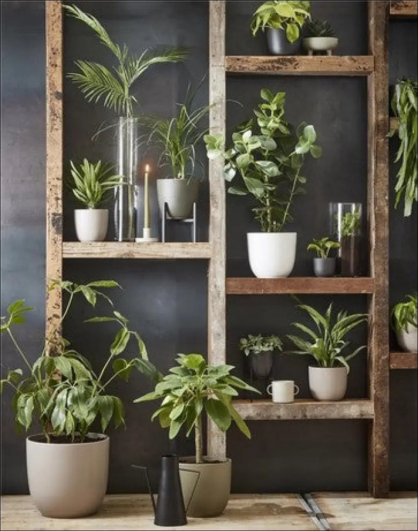 Vazonas DI10624 - €50 Save 50% 50-100, __label:Pristatymas 1-2 d.d., color-balta, interjeras, material-keramika to €100