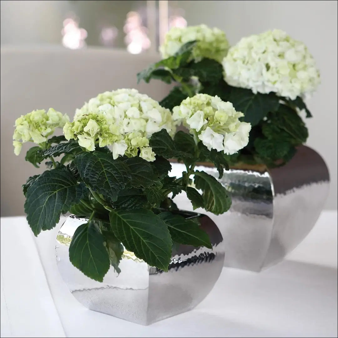 Vazonas DI10950 - €33 Save 50% 25-50, __label:Pristatymas 1-2 d.d., color-sidabrine, interjeras, material-metalas €25