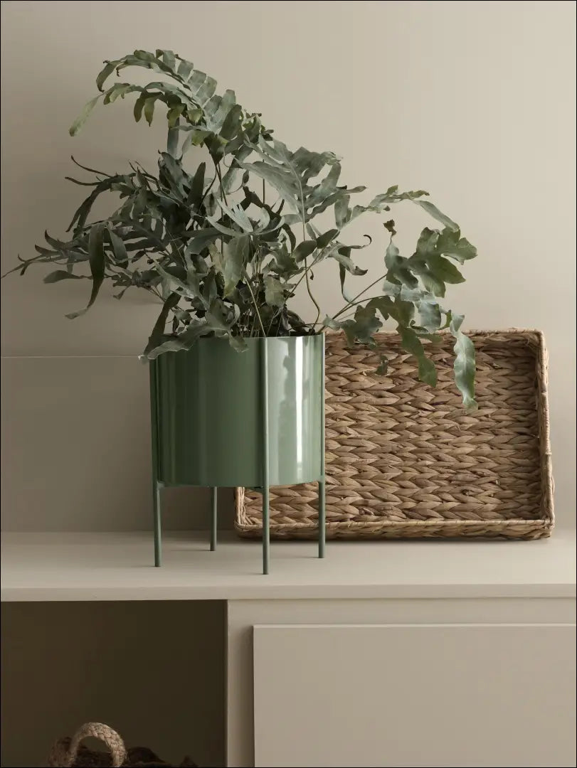 Vazonas DI3700 - €33 Save 70% 25-50, __label:Pristatymas 1-2 d.d., color-zalia, interjeras, material-metalas €25 to €50