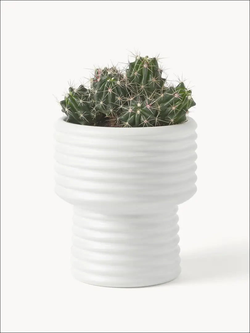 Vazonas DI6055 - €7 Save 70% __label:Pristatymas 1-2 d.d., color-balta, interjeras, material-fajansas, under-25 Iki €25