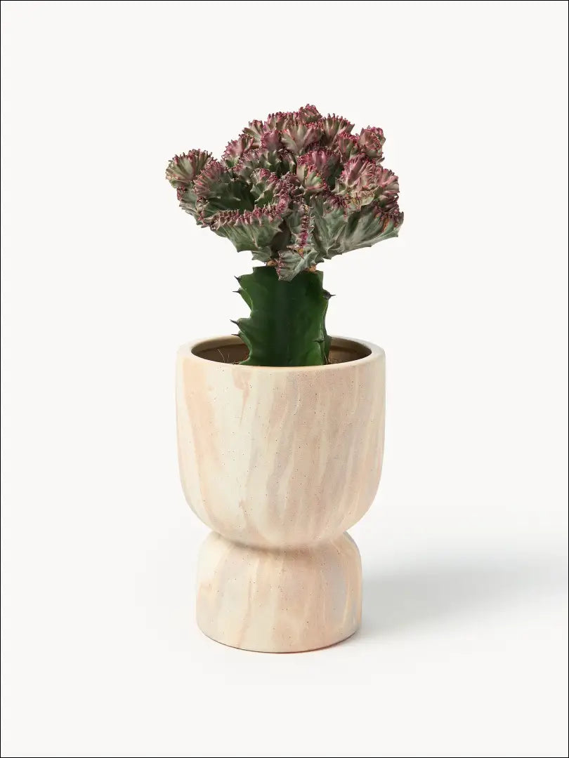 Vazonas DI9865 - €13 Save 55% __label:Pristatymas 1-2 d.d., color-marga, color-margas, color-smelio, interjeras Iki €25