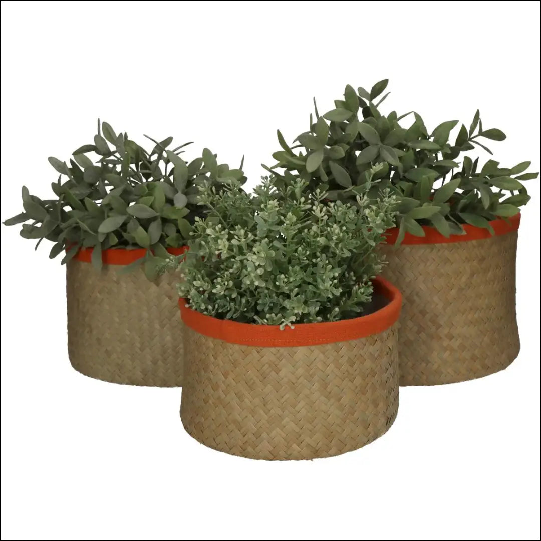 Vazonų komplektas (3vnt) DI6265 - €24 Save 70% __label:Pristatymas 1-2 d.d., color-oranzine, color-smelio, interjeras,