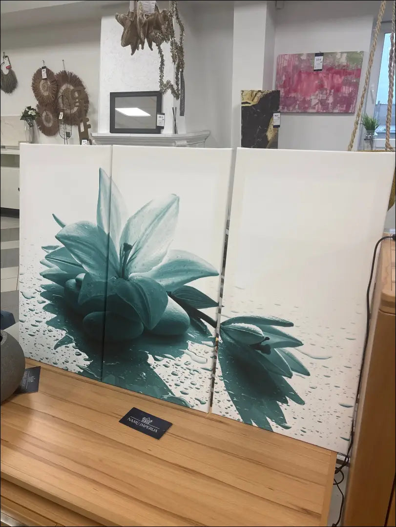 3 dalių paveikslas DI10645 - €45 Save 50% 25-50, __label:Pristatymas 1-2 d.d., color-balta, color-turkis, interjeras