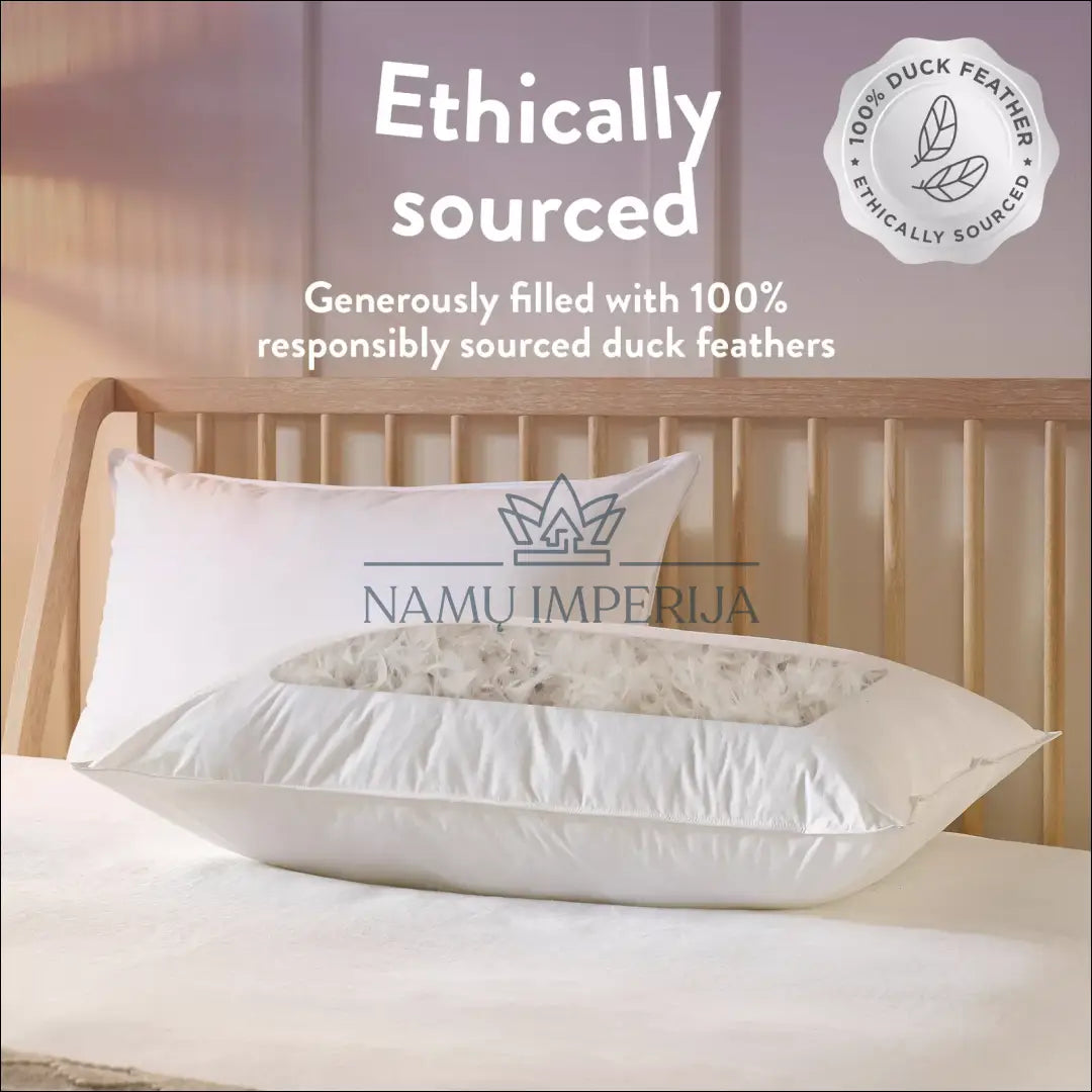 Ančių plunksnų pagalvių komplektas (2vnt) DI8937 - €24 Save 50% __label:Pristatymas 1-2 d.d., color-balta,