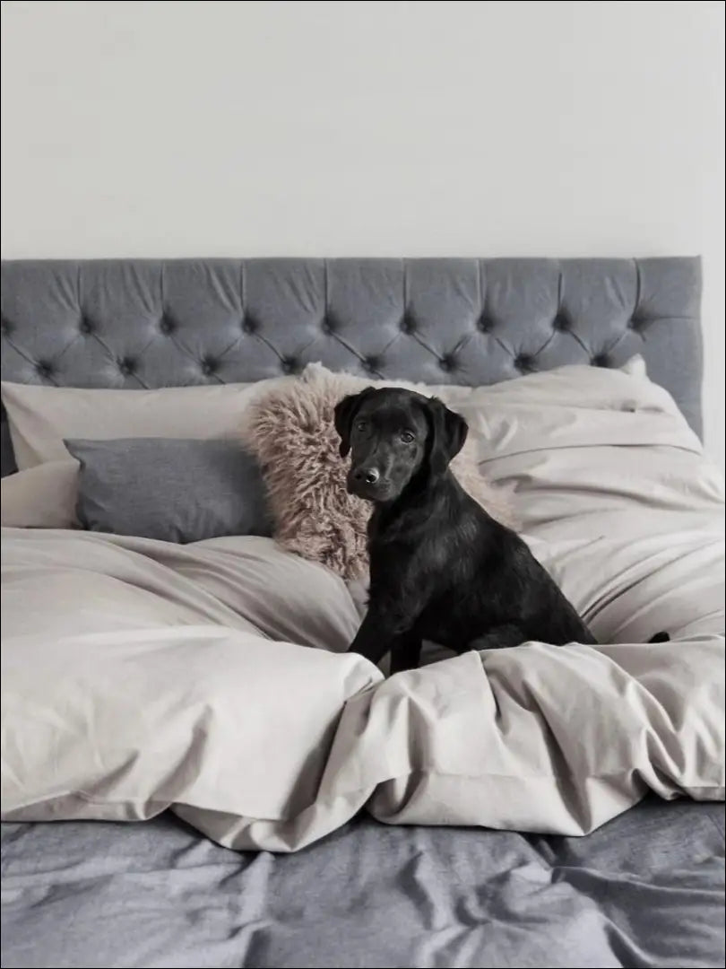 Antklodės užvalkalas su kašmyru DI3434 - €39 Save 70% 25-50, __label:Pristatymas 1-2 d.d., antklodes-uzvalkalas,