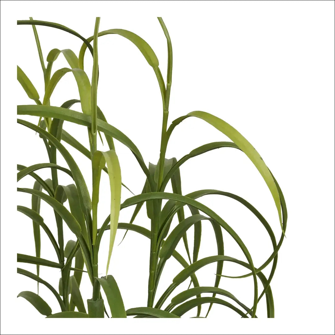 Augalas žalias aukštis: 68 cm RD1253 - €36 Save 15% 25-50, __label:Pristatymas 5-14 d.d., nordic, Plants, uzsakomi €25