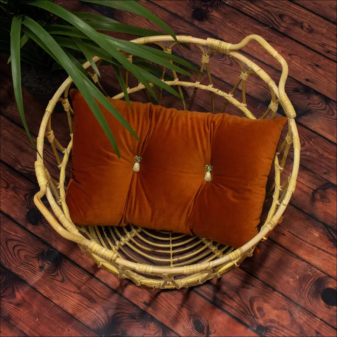 Dekoratyvinė aksominė pagalvėlė DI12191 - €12 Save 50% __label:Pristatymas 1-2 d.d., color-ruda, interjeras,