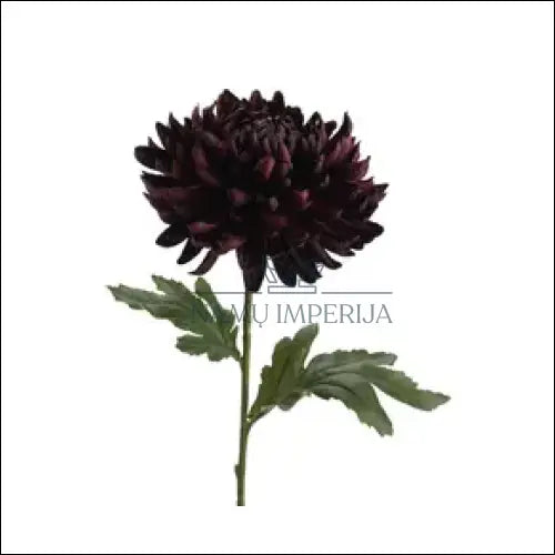 Dekoratyvinė gėlė DI5676 - €9 Save 50% __label:Pristatymas 1-2 d.d., color-violetine, color-zalia, dekoracijos,