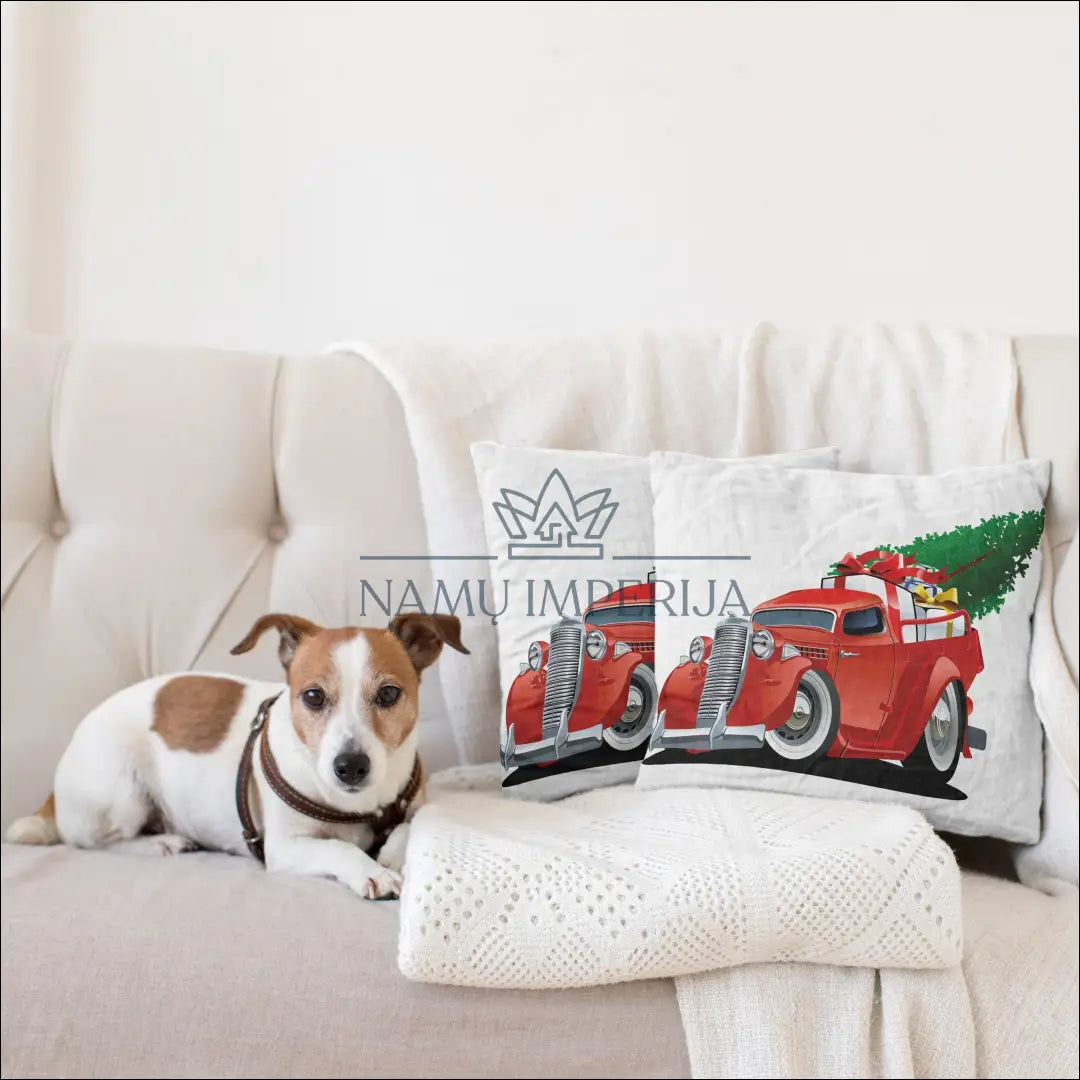 Dekoratyvinė pagalvėlė DI10048 - €16 Save 50% __label:Pristatymas 1-2 d.d., color-balta, color-marga, color-margas,