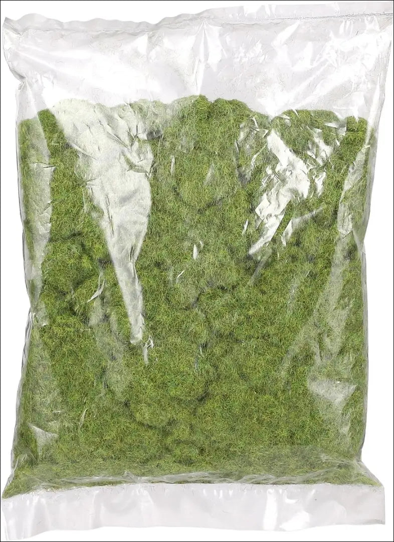 Dekoratyvinė žolė (2vnt) DI7237 - €8 Save 65% __label:Pristatymas 1-2 d.d., augalai, color-zalia, interjeras,