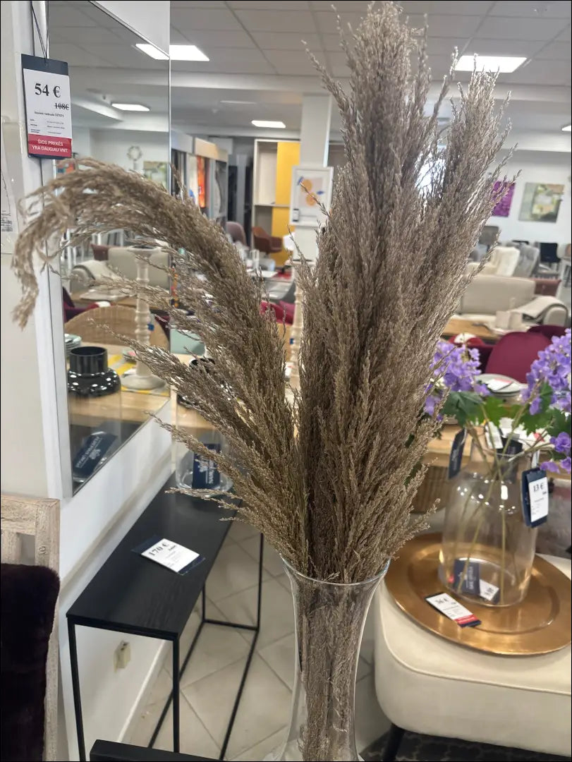 Dekoratyvinės smilgos (5vnt) DI10649 - €8 Save 50% __label:Pristatymas 1-2 d.d., augalai, color-ruda, interjeras,