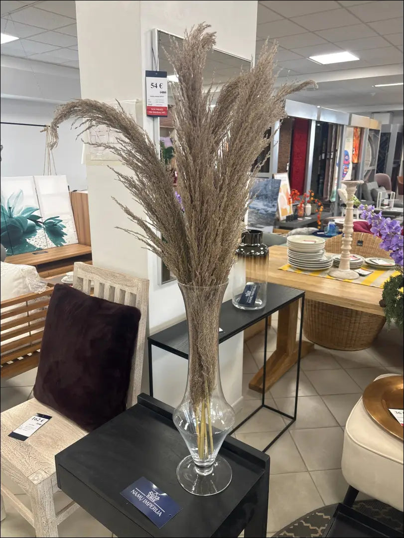 Dekoratyvinės smilgos (5vnt) DI10649 - €8 Save 50% __label:Pristatymas 1-2 d.d., augalai, color-ruda, interjeras,