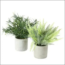 Augšupielādējiet attēlu galerijas skatā Dekoratyvinių augalų vazonėliuose komplektas (2vnt) DI5804 - €17 Save 50% color-pilka, color-zalia, dekoracijos,
