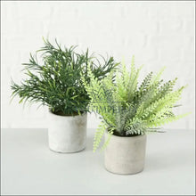 Augšupielādējiet attēlu galerijas skatā Dekoratyvinių augalų vazonėliuose komplektas (2vnt) DI5804 - €17 Save 50% color-pilka, color-zalia, dekoracijos,
