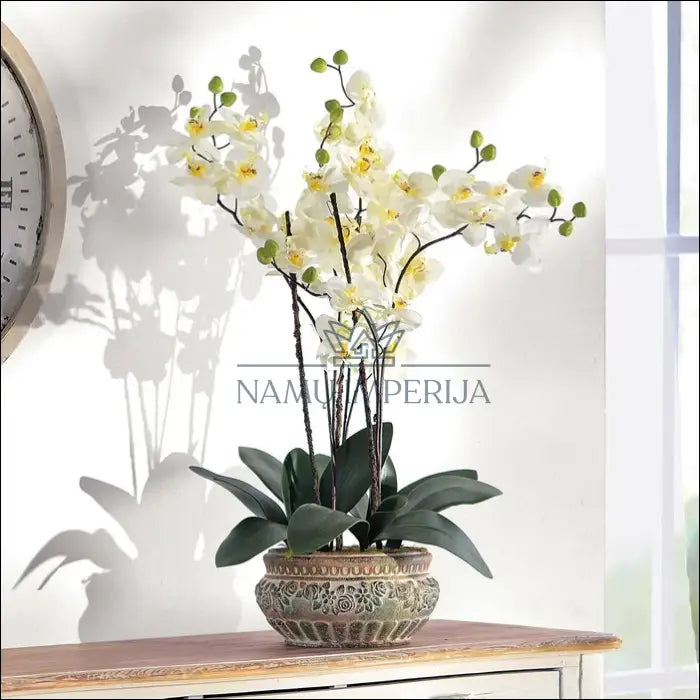 Dirbtinė orchidėja su vazonu DI2559 - €28 Save 65% 25-50, __label:Pristatymas 1-2 d.d., color-balta, color-ruda,