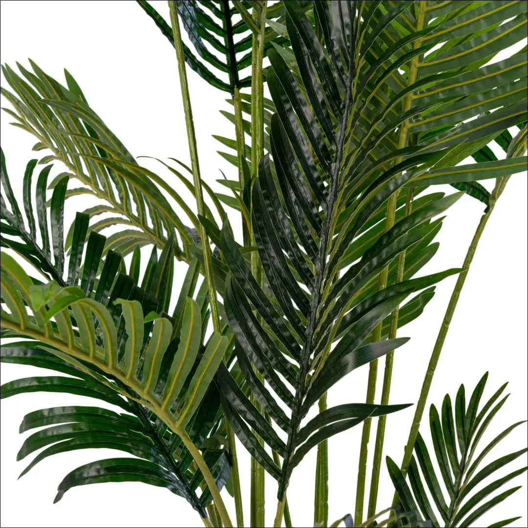 Dirbtinė palmė žalia aukštis: 175 cm RD1240 - €172 Save 15% 100-200, __label:Pristatymas 5-14 d.d., nordic, Plants,