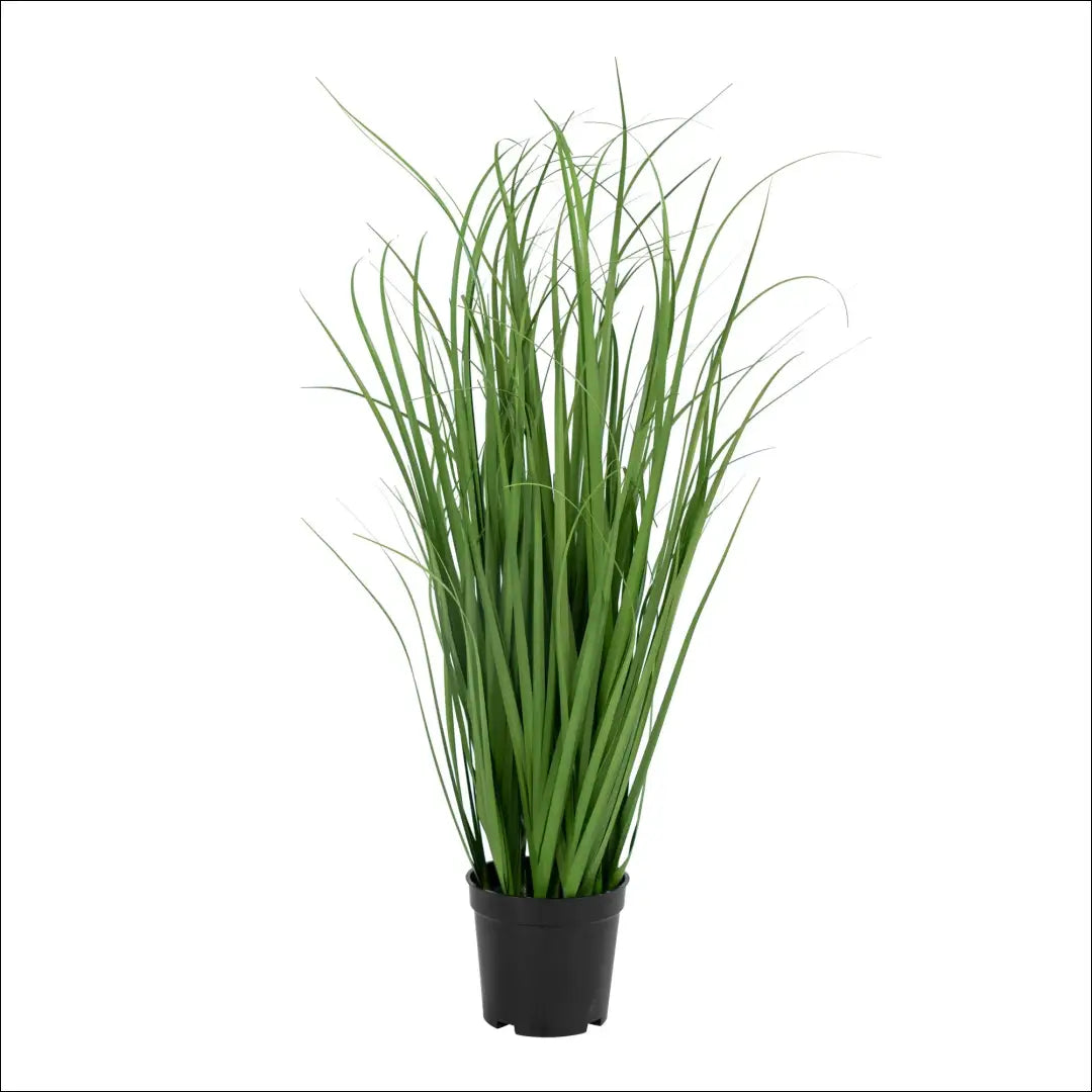 Dirbtinė poa žolė žalia aukštis: 68 cm RD1245 - €19 Save 15% __label:Pristatymas 5-14 d.d., nordic, Plants, under-25,