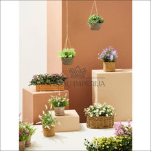 Laadige pilt üles galeriivaatesse Dirbtinės gėlės krepšelyje DI6053 - €10 Save 50% color-balta, color-ruda, color-zalia, dekoracijos, interjeras
