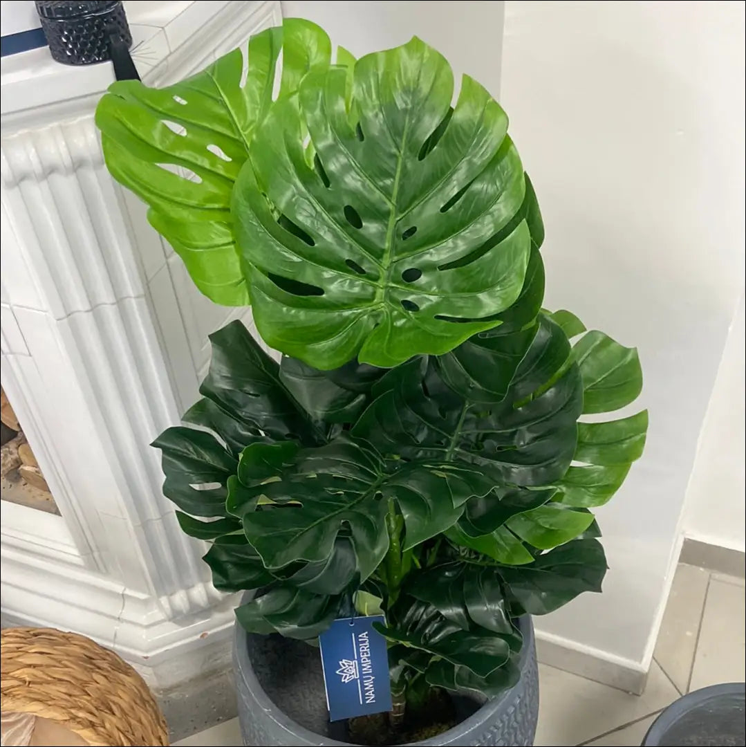 Dirbtinis augalas (120cm) DI5452 - €39 Save 70% 25-50, __label:Pristatymas 1-2 d.d., augalai, color-juoda, color-zalia