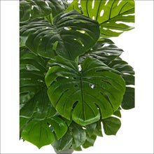 Augšupielādējiet attēlu galerijas skatā Dirbtinis augalas (120cm) DI5452 - €65 Save 50% 50-100, color-juoda, color-zalia, dekoracijos, interjeras Dekoracijos
