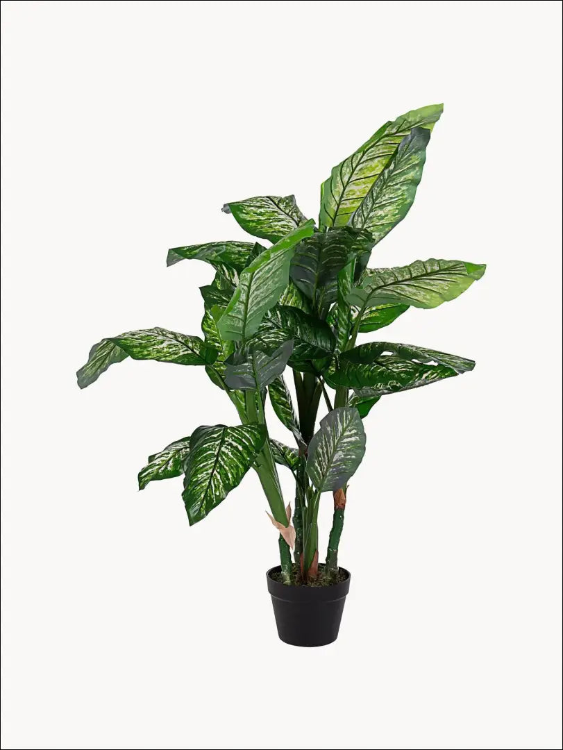 Dirbtinis augalas (120cm) DI5453 - €39 Save 70% 25-50, __label:Pristatymas 1-2 d.d., augalai, color-juoda, color-zalia