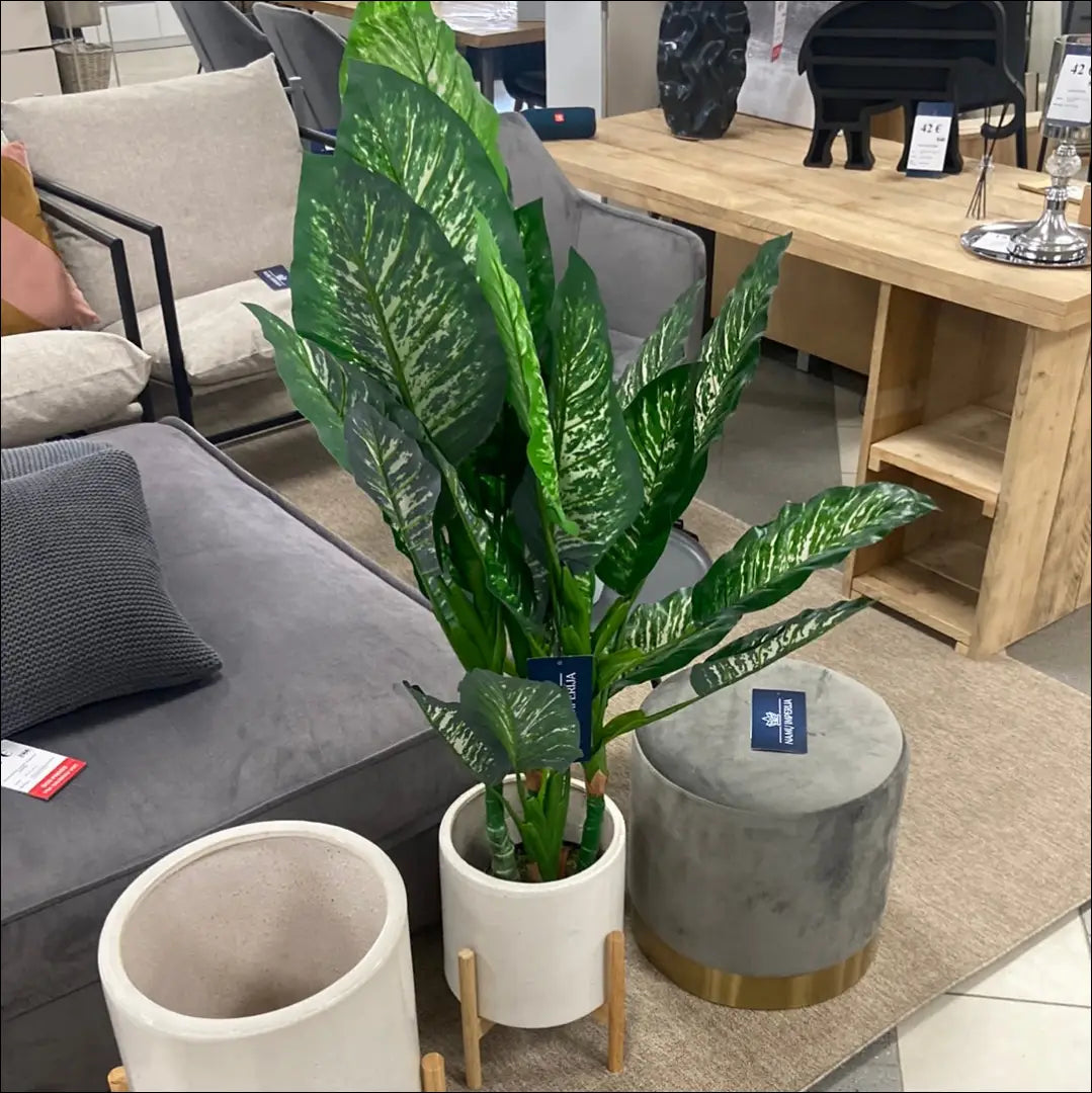 Dirbtinis augalas (120cm) DI5453 - €39 Save 70% 25-50, __label:Pristatymas 1-2 d.d., augalai, color-juoda, color-zalia