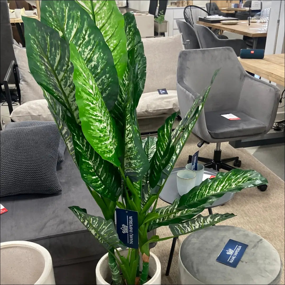 Dirbtinis augalas (120cm) DI5453 - €39 Save 70% 25-50, __label:Pristatymas 1-2 d.d., augalai, color-juoda, color-zalia