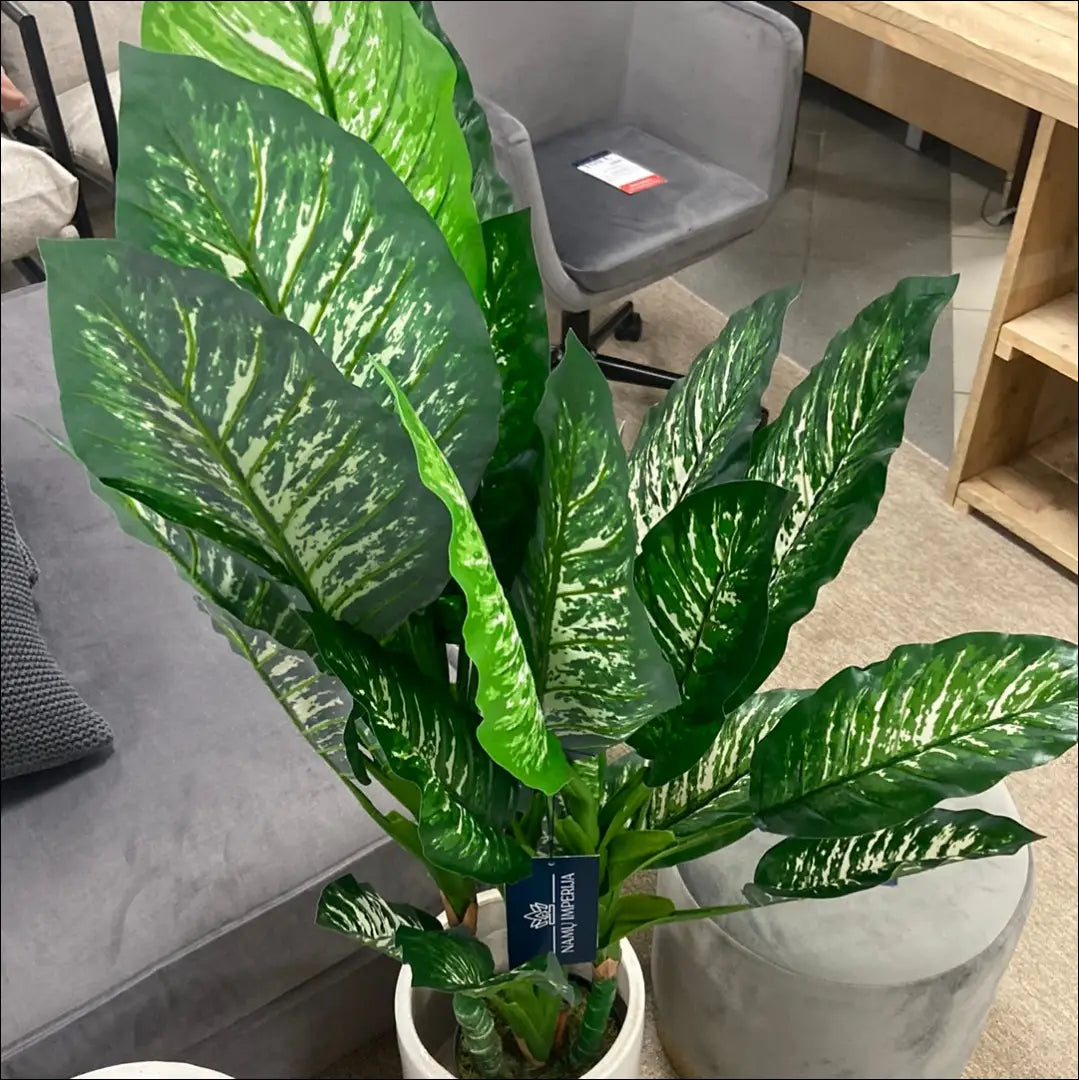 Dirbtinis augalas (120cm) DI5453 - €39 Save 70% 25-50, __label:Pristatymas 1-2 d.d., augalai, color-juoda, color-zalia