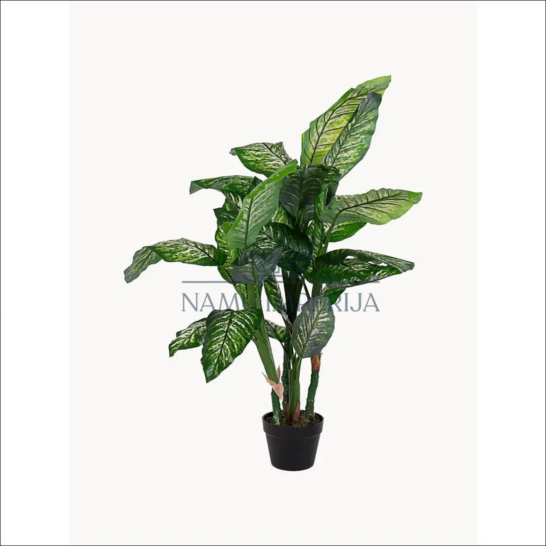 Dirbtinis augalas (120cm) DI5453 - €65 Save 50% 50-100, __label:Pristatymas 1-2 d.d., color-juoda, color-zalia,