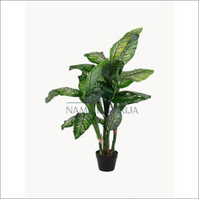Augšupielādējiet attēlu galerijas skatā Dirbtinis augalas (120cm) DI5453 - €65 Save 50% 50-100, color-juoda, color-zalia, dekoracijos, interjeras Dekoracijos
