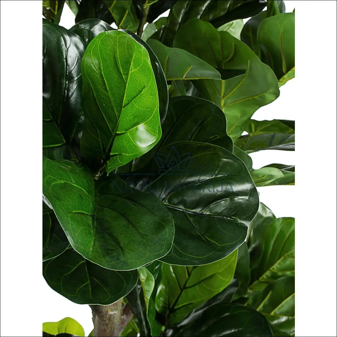 Dirbtinis augalas (190cm) DI5451 - €145 Save 50% 100-200, color-juoda, color-zalia, dekoracijos, interjeras