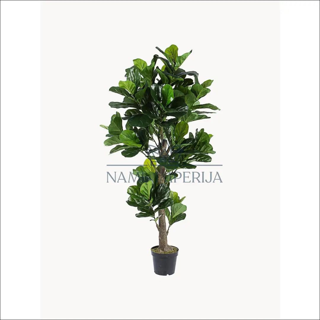 Dirbtinis augalas (190cm) DI5451 - €145 Save 50% 100-200, __label:Pristatymas 1-2 d.d., color-juoda, color-zalia,