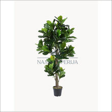 Laadige pilt üles galeriivaatesse Dirbtinis augalas (190cm) DI5451 - €145 Save 50% 100-200, color-juoda, color-zalia, dekoracijos, interjeras
