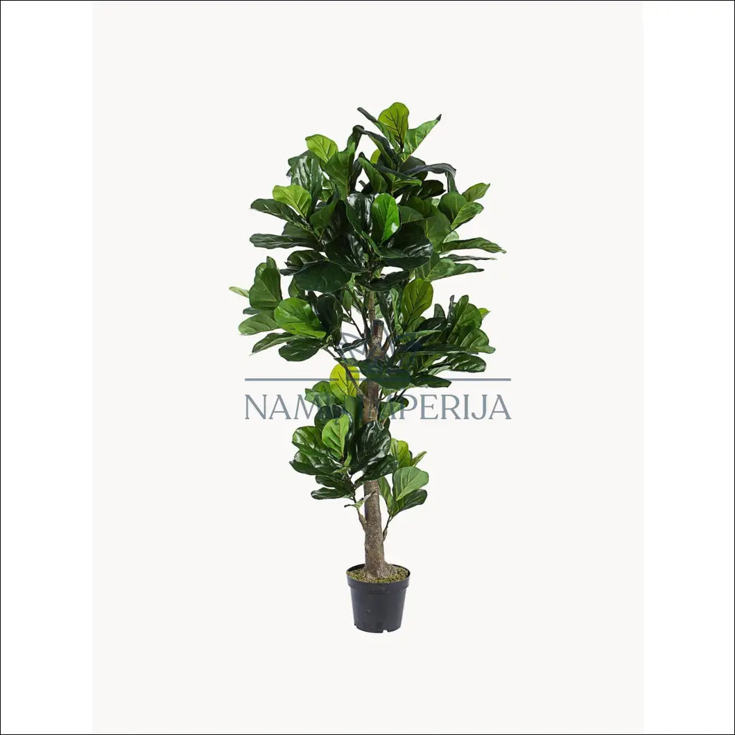 Dirbtinis augalas (190cm) DI5451 - €145 Save 50% 100-200, color-juoda, color-zalia, dekoracijos, interjeras