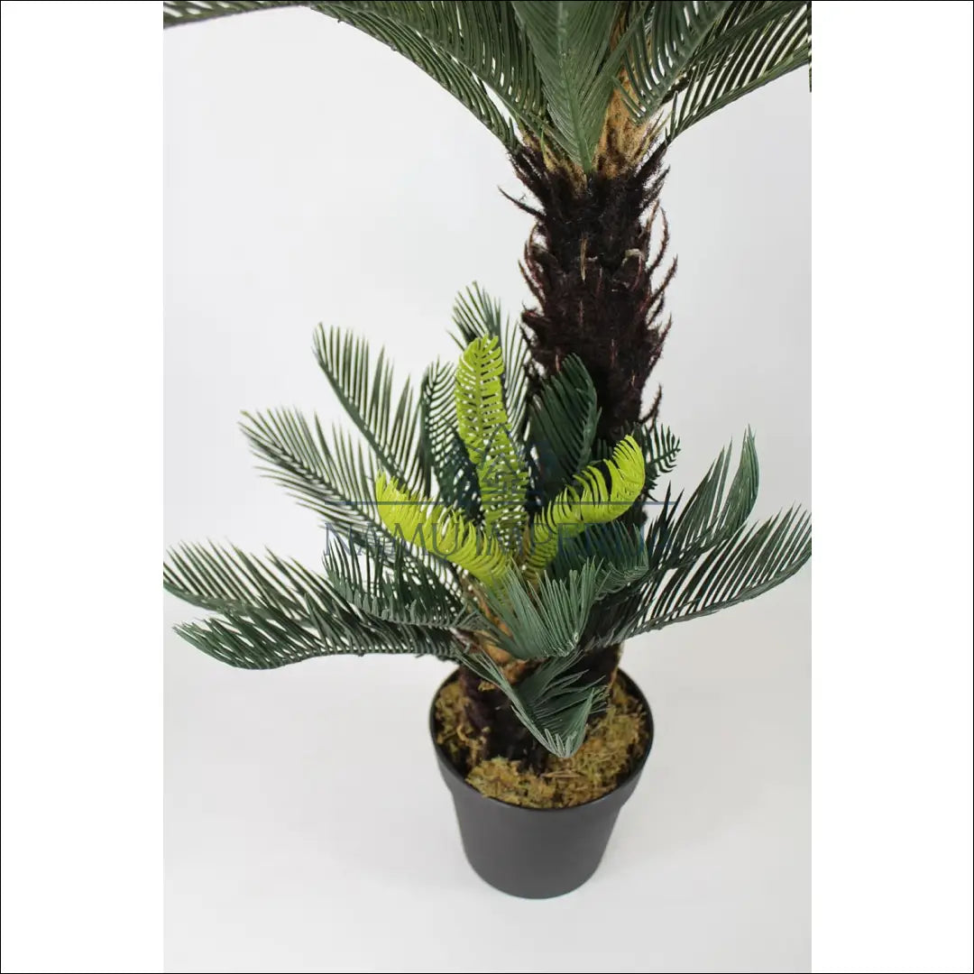 Dirbtinis augalas DI10088 - €70 Save 50% 50-100, __label:Pristatymas 1-2 d.d., augalai, color-zalia, interjeras €50