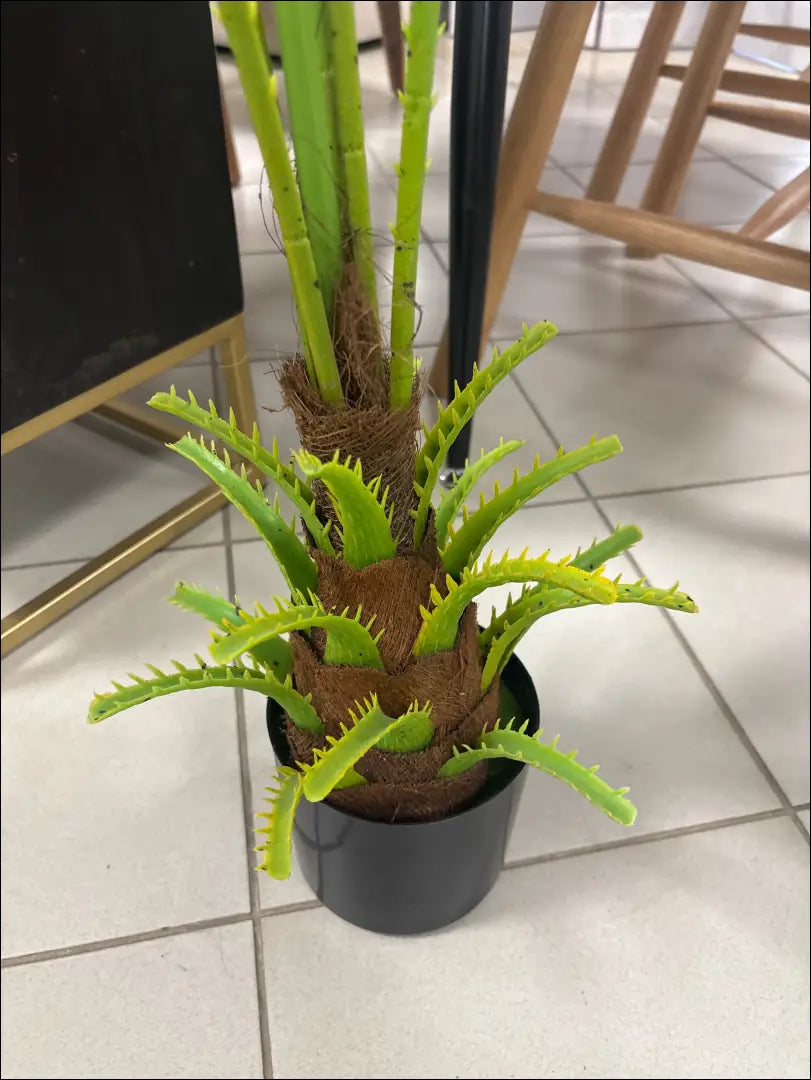 Dirbtinis augalas DI10398 - €29 Save 50% 25-50, __label:Pristatymas 1-2 d.d., augalai, color-zalia, interjeras €25