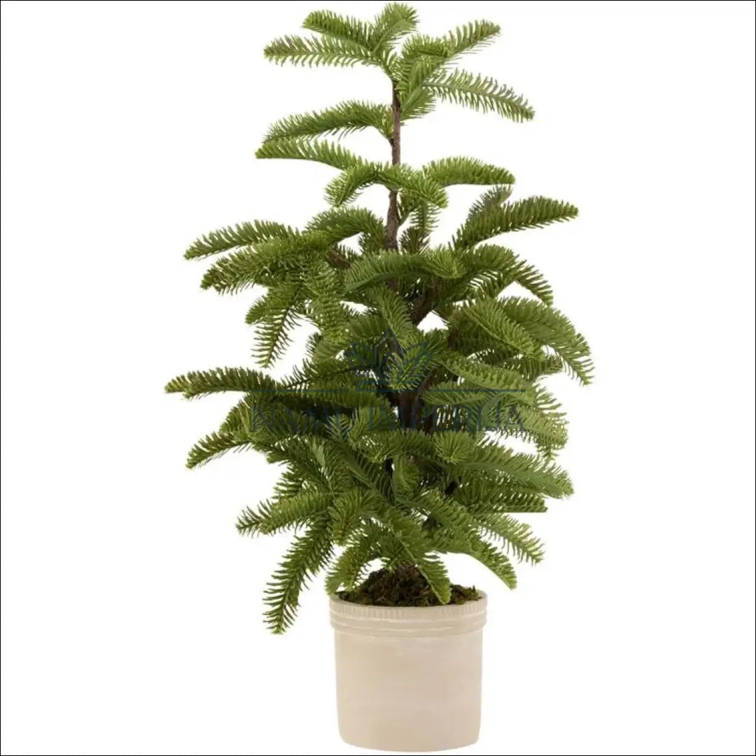 Dirbtinis augalas ’Eglė’ DI10074 - €35 Save 50% 25-50, __label:Pristatymas 1-2 d.d., augalai, color-smelio, color-zalia