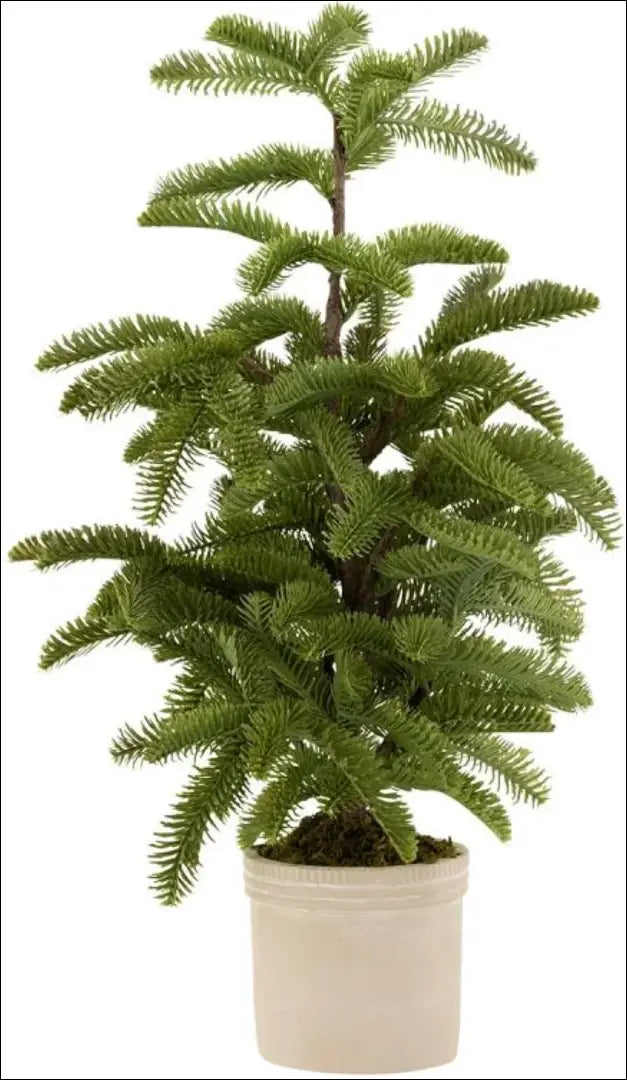 Dirbtinis augalas ’Eglė’ DI10074 - €35 Save 50% 25-50, __label:Pristatymas 1-2 d.d., augalai, color-smelio, color-zalia