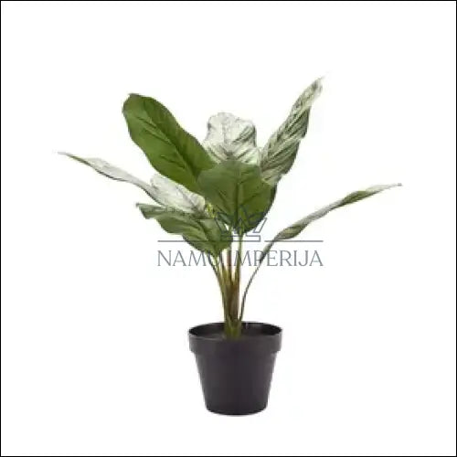 Dirbtinis augalas su vazonėliu DI5866 - €22 Save 50% color-juoda, color-zalia, dekoracijos, interjeras,