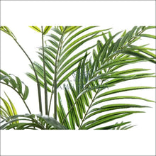 Augšupielādējiet attēlu galerijas skatā Dirbtinis augalas su vazonu DI6193 - €70 Save 50% 50-100, color-juoda, color-zalia, dekoracijos, interjeras
