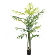 Augšupielādējiet attēlu galerijas skatā Dirbtinis augalas su vazonu DI6193 - €70 Save 50% 50-100, color-juoda, color-zalia, dekoracijos, interjeras
