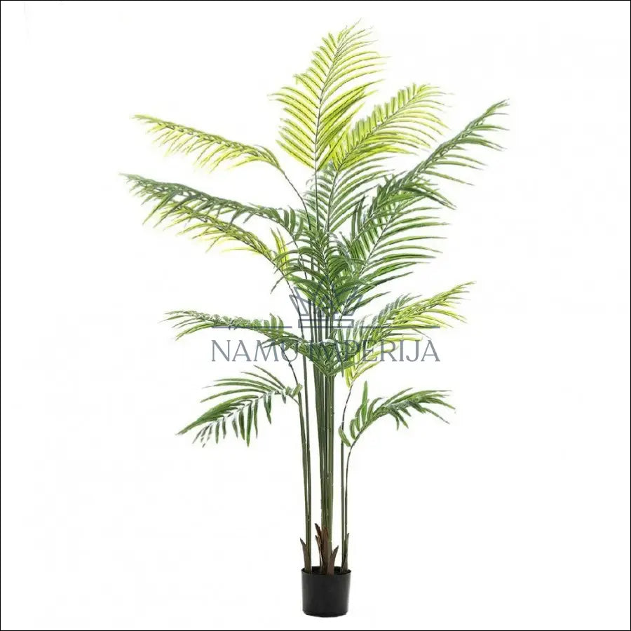 Dirbtinis augalas su vazonu DI6193 - €70 Save 50% 50-100, color-juoda, color-zalia, dekoracijos, interjeras