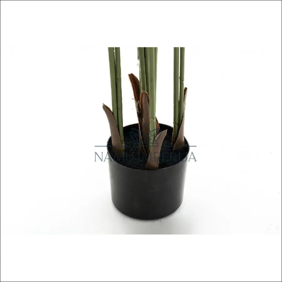 Dirbtinis augalas su vazonu DI6193 - €70 Save 50% 50-100, color-juoda, color-zalia, dekoracijos, interjeras