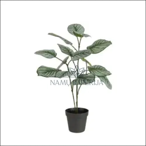 Dirbtinis augalas vazonėlyje DI5757 - €19 Save 50% color-pilka, color-zalia, dekoracijos, interjeras, kita