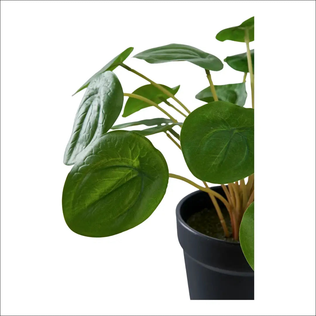 Dirbtinis augalas žalias aukštis: 28 cm RD1236 - €12 Save 20% __label:Pristatymas 5-14 d.d., nordic, Plants, under-25,