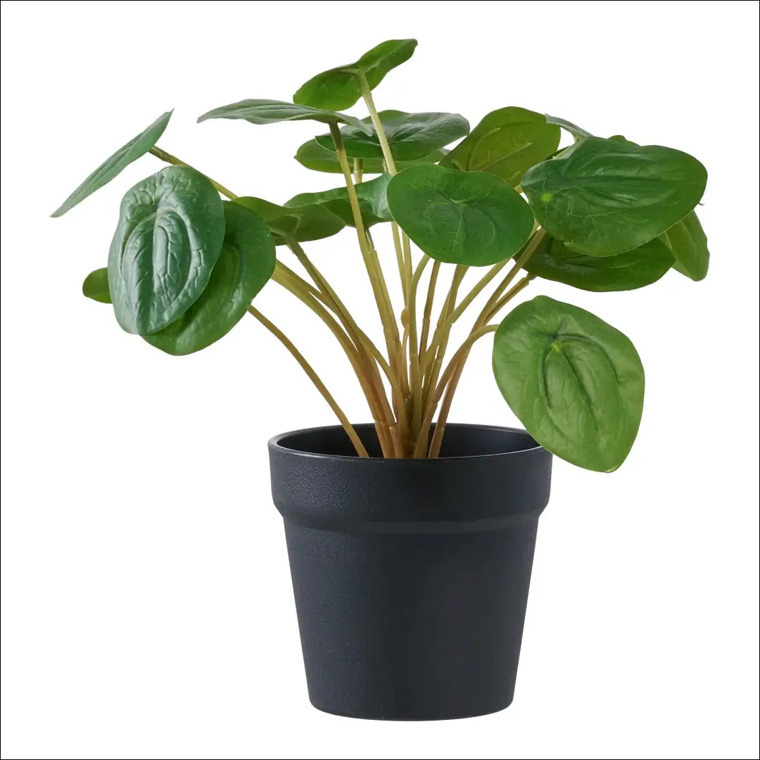 Dirbtinis augalas žalias aukštis: 28 cm RD1236 - €12 Save 20% __label:Pristatymas 5-14 d.d., nordic, Plants, under-25,