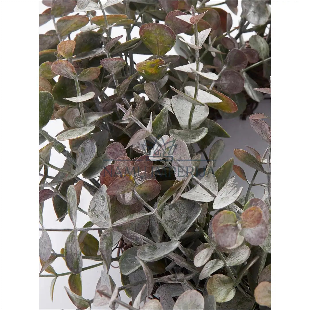 Dirbtinis eukalipto vainikas DI3712 - €24 Save 65% color-zalia, dekoracijos, interjeras, material-plastikas, spec