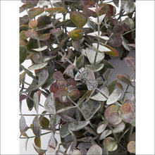 Augšupielādējiet attēlu galerijas skatā Dirbtinis eukalipto vainikas DI3712 - €24 Save 65% color-zalia, dekoracijos, interjeras, material-plastikas, spec
