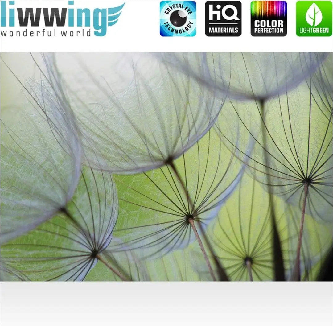 Fototapetas DI10961 - €50 Save 50% 50-100, __label:Pristatymas 1-2 d.d., color-zalia, interjeras, sienu dekoracijos