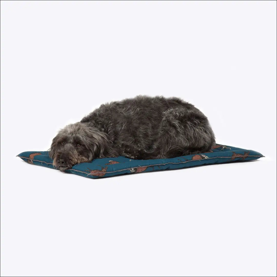 Guolis augintiniui DI9538 - €42 Save 50% 25-50, __label:Pristatymas 1-2 d.d., color-marga, color-margas, color-melyna